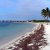 Key West